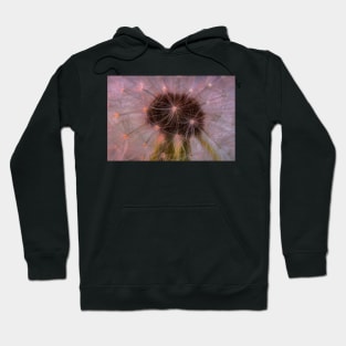 Dandelion 2 Hoodie